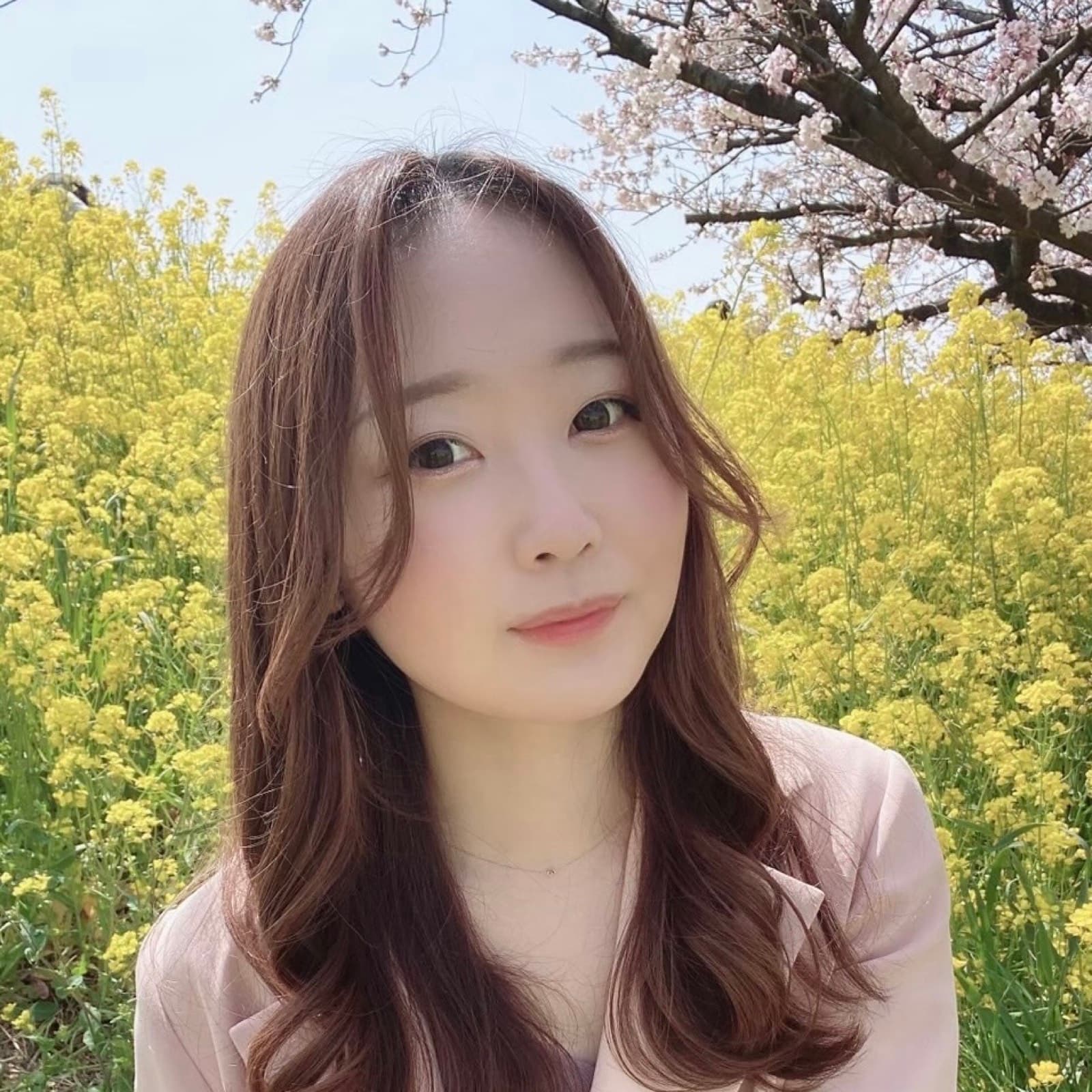 藤理沙子